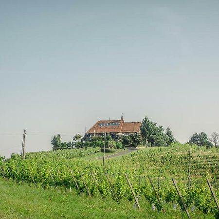 Taverna & Wine Jeruzalem Ivanjkovci Exteriör bild