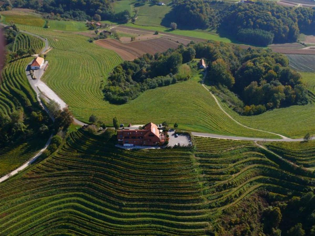 Taverna & Wine Jeruzalem Ivanjkovci Exteriör bild