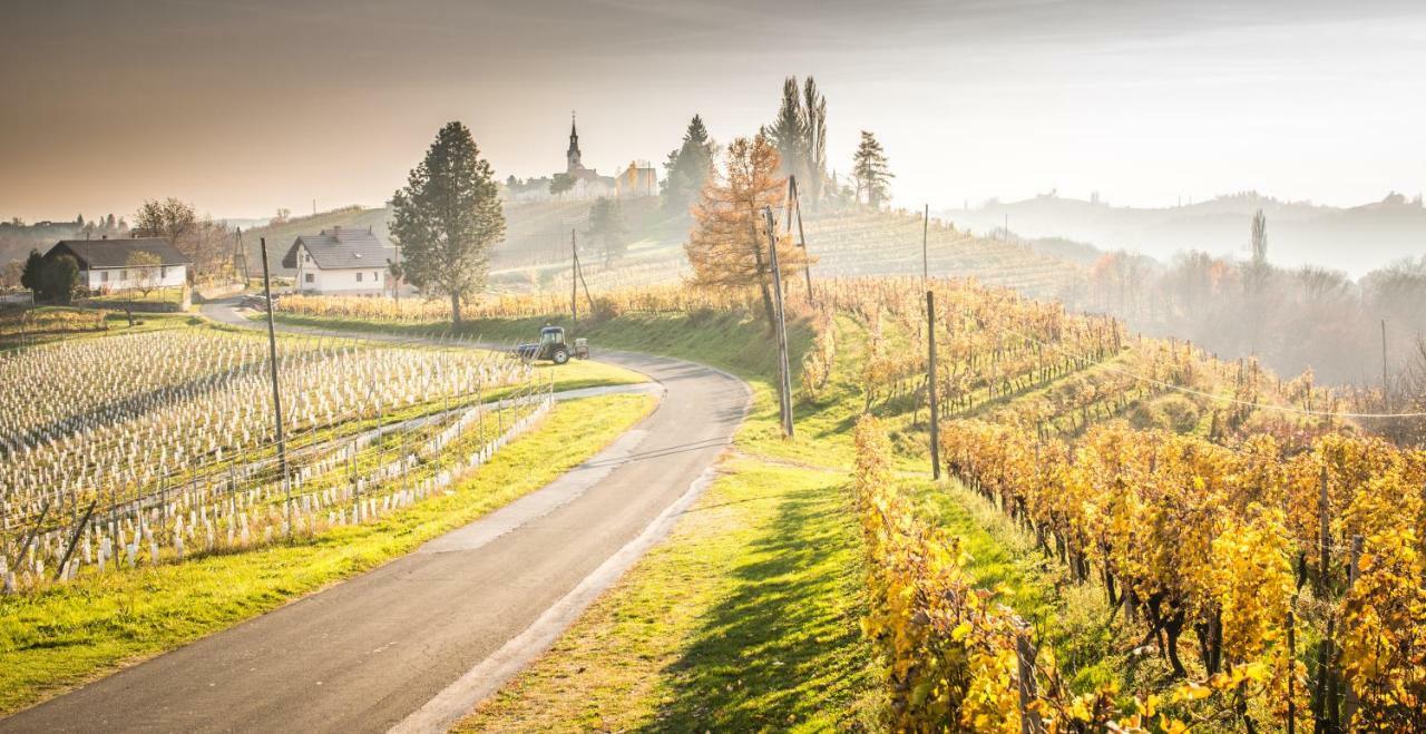 Taverna & Wine Jeruzalem Ivanjkovci Exteriör bild