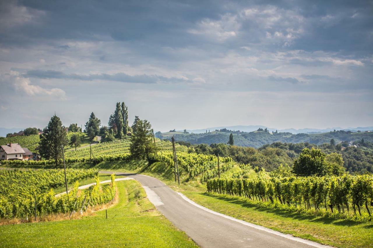 Taverna & Wine Jeruzalem Ivanjkovci Exteriör bild