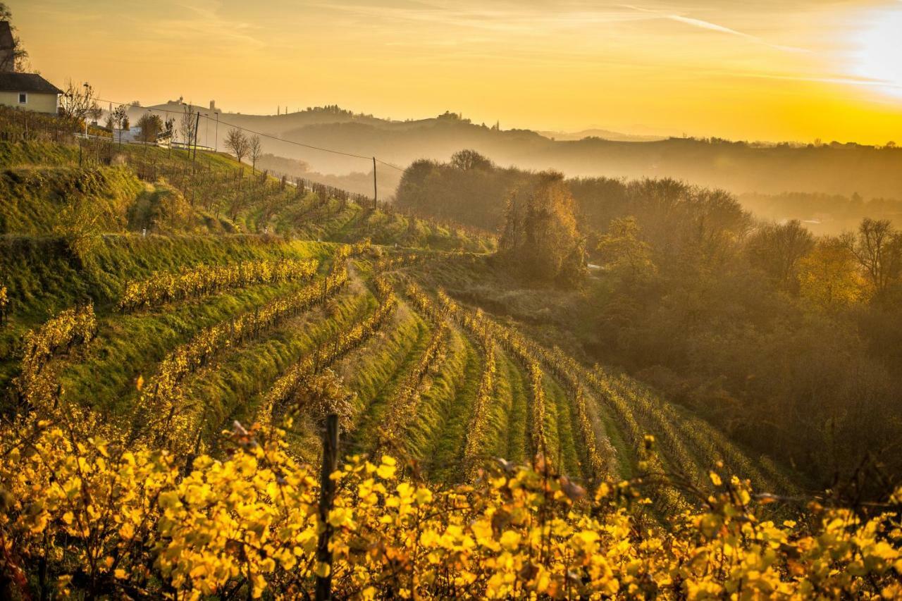 Taverna & Wine Jeruzalem Ivanjkovci Exteriör bild